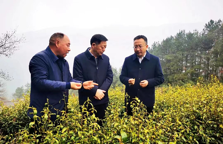 国资委主任调研.jpg