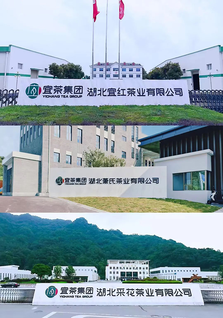 b.jpg