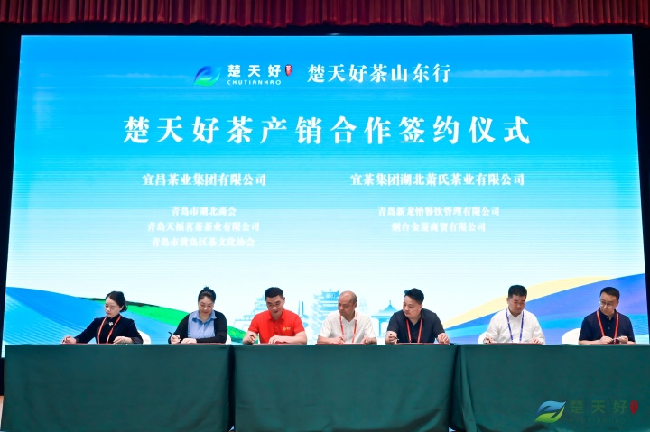 青岛收官 宜茶“圈粉”