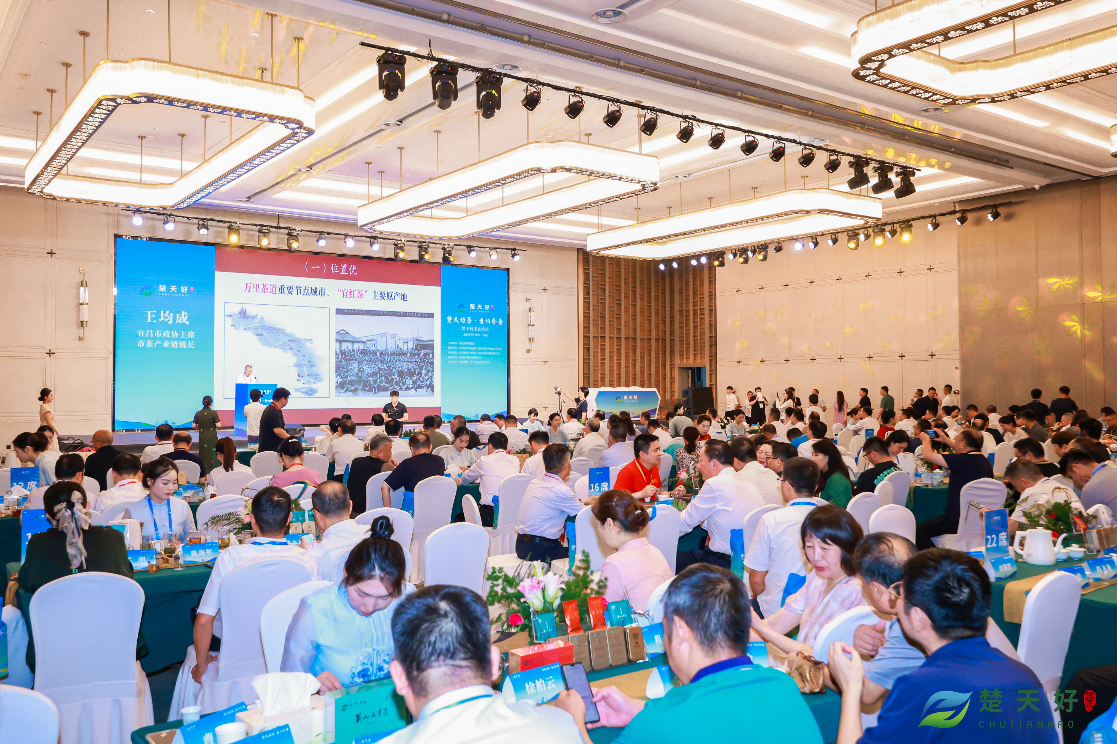 楚天好茶山东行，泉城好水沏宜茶