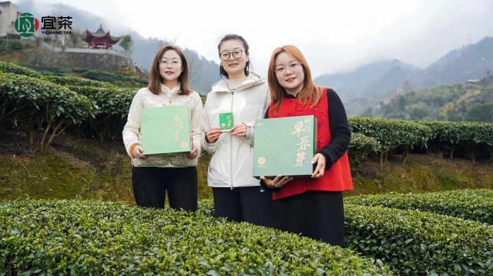 开园首采！2026年第一口三峡春鲜，就藏在这杯“早茶”里！