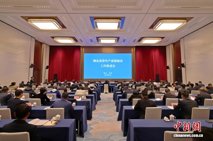 省茶叶产业链建设工作推进会召开