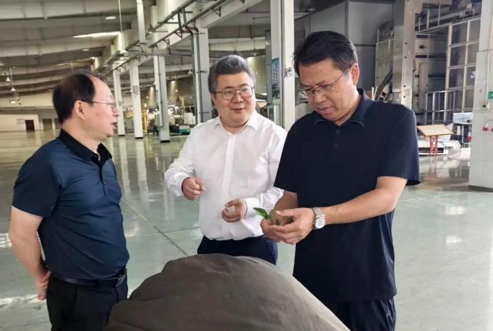 孙劲松调研茶产业发展